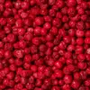 Gefriergetrocknete rote Johannisbeeren – Bild 5
