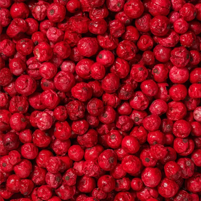 Gefriergetrocknete rote Johannisbeeren – Bild 5