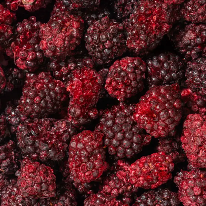 Gefriergetrocknete Brombeeren – Bild 5