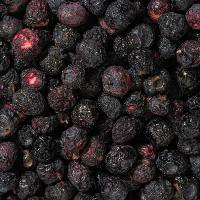 Gefriergetrocknete Heidelbeeren – Bild 5