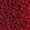 Das Bild zeigt eine Makroaufnahme der gefriergetrockneten Preiselbeeren in Bioqualität von Nutripur