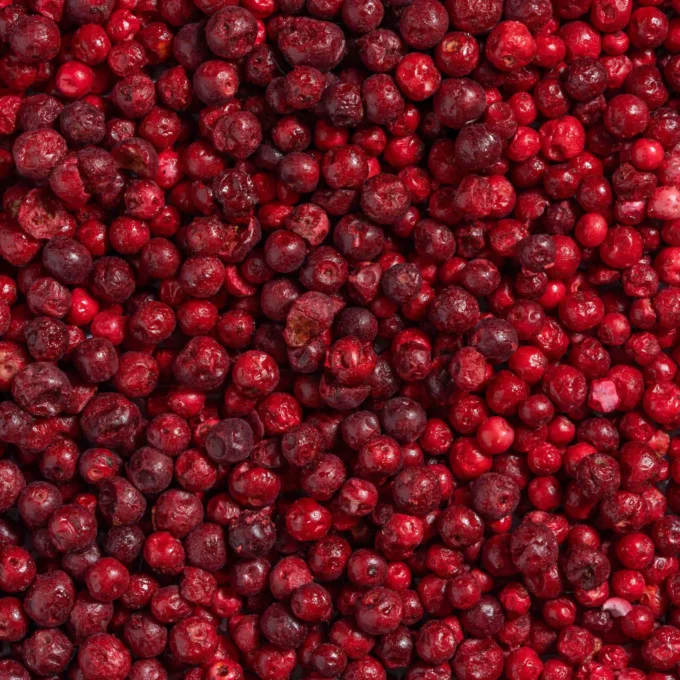 Das Bild zeigt eine Makroaufnahme der gefriergetrockneten Preiselbeeren in Bioqualität von Nutripur
