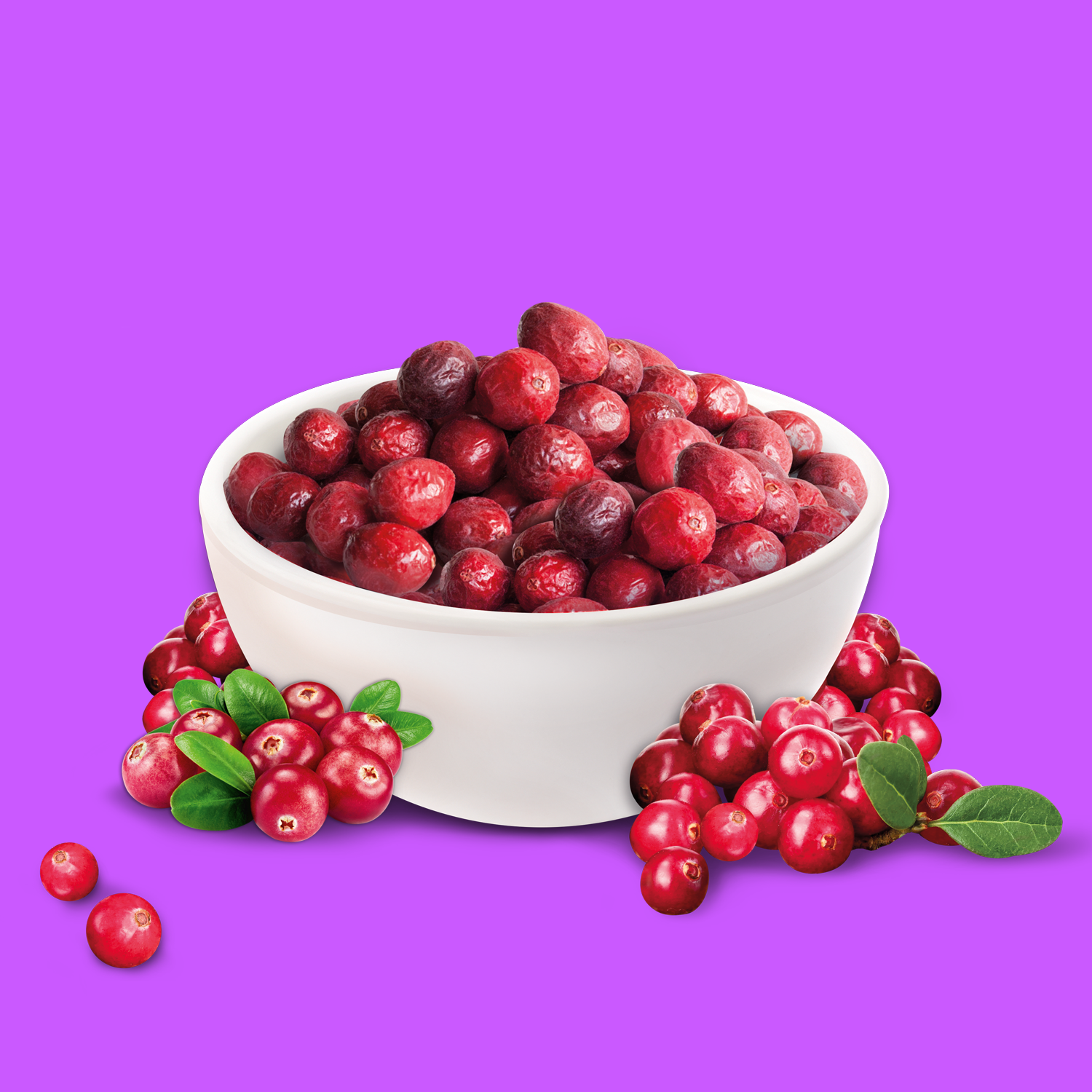 NutriPur gefriergetrocknet Cranberrys Früchte