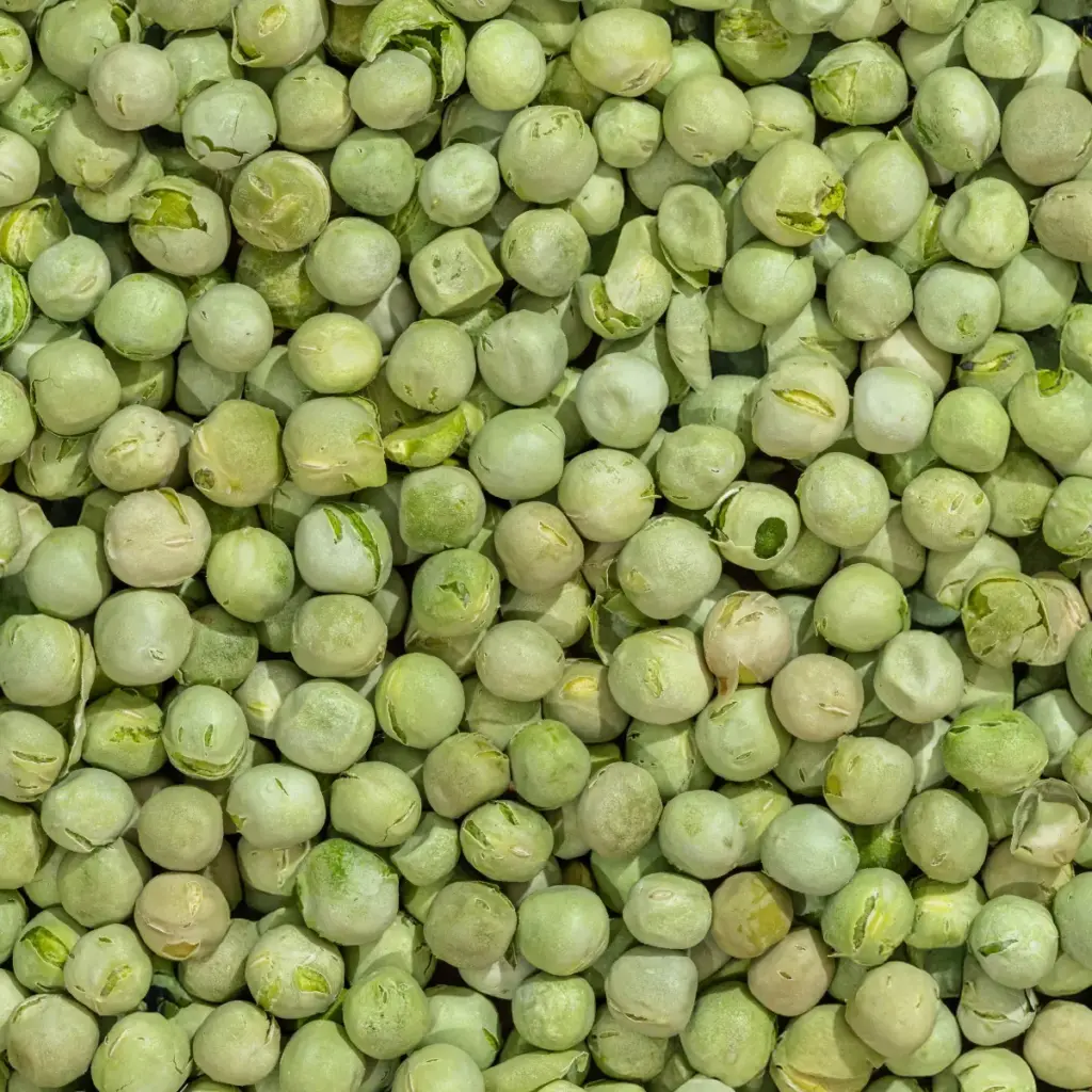Ein Bild zeigt eine Makroaufnahme der gefriergetrockneten Erbsen von NutriPur