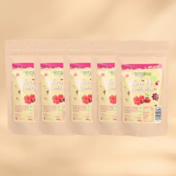 5 x 100g Fruchtpulver Kirsch & Beeren Mix BIO, gefriergetrocknet