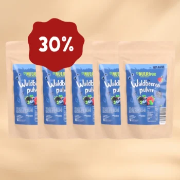 ANGEBOT! 5 x 100g Fruchtpulver Waldbeeren, gefriergetrocknet