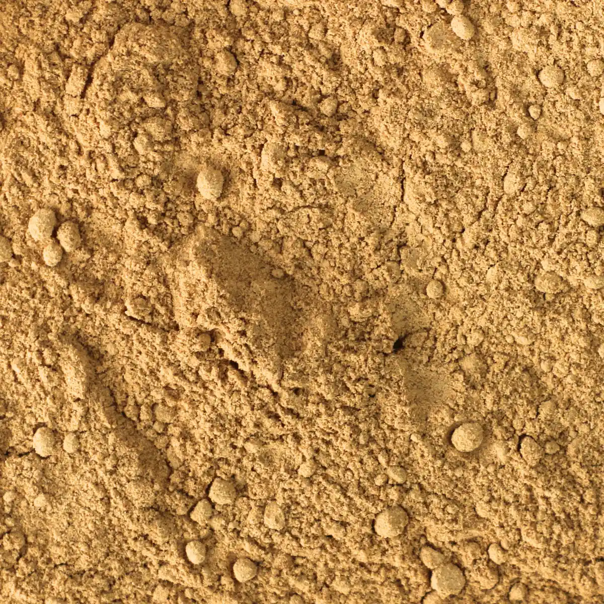 Ein Bild zeigt eine Makroaufnahme des SuperSpice Bio-Ingwerpulvers