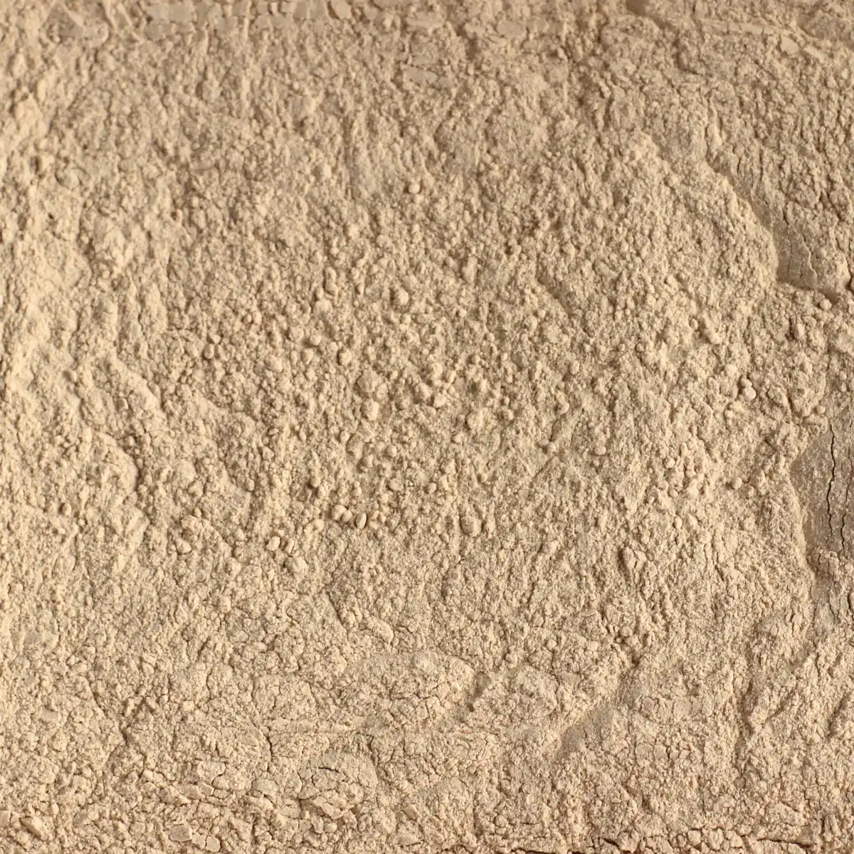 Ein Bild zeigt eine Makroaufnahme des SuperPowder Bio-Lucumapulvers