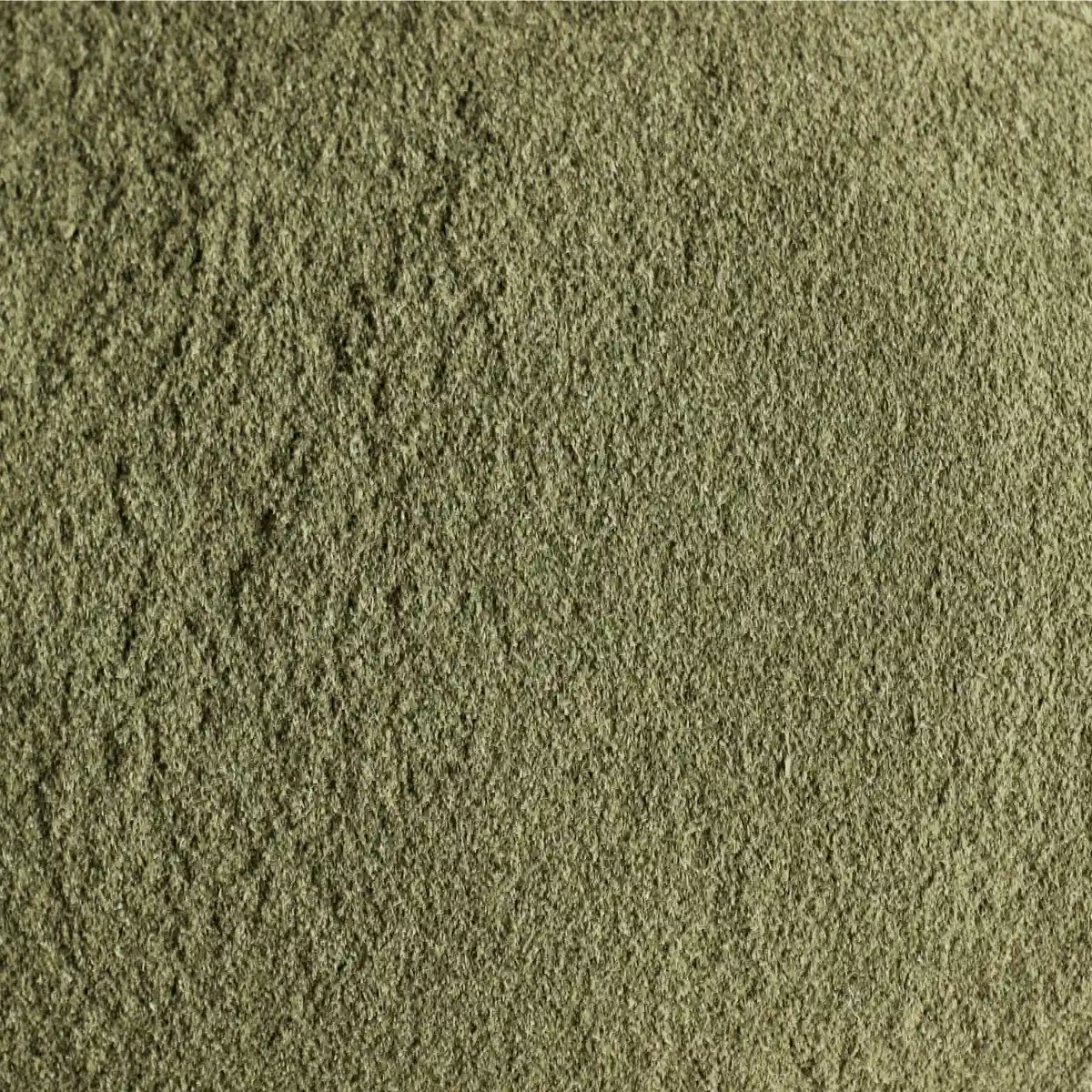 Ein Bild zeigt eine Makroaufnahme des SuperPowder Bio Weizengras-Pulvers von Nutripur