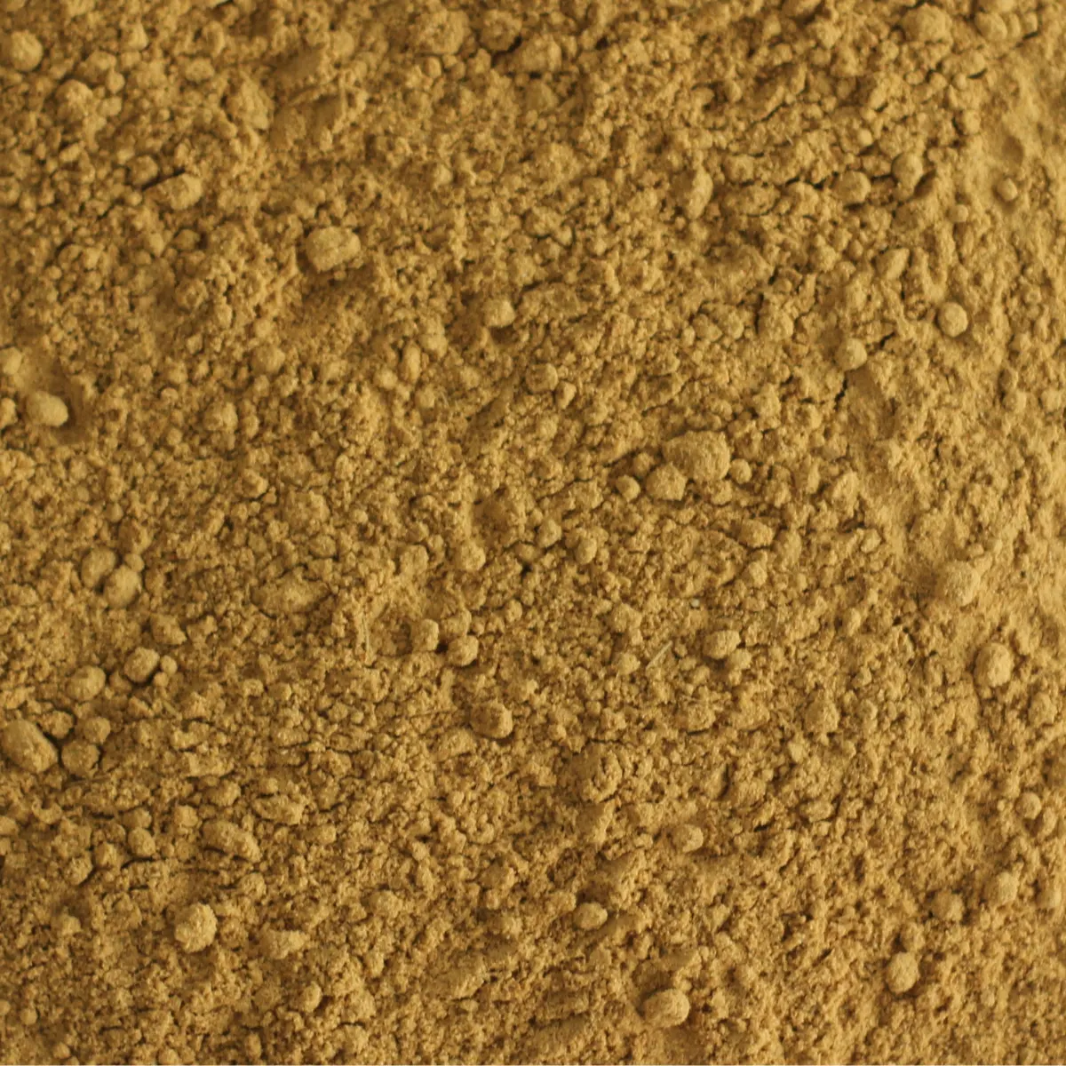 Ein Bild zeigt eine Makroaufnahme des Supershot-Mix-Bio-Kurkuma-Pulvers