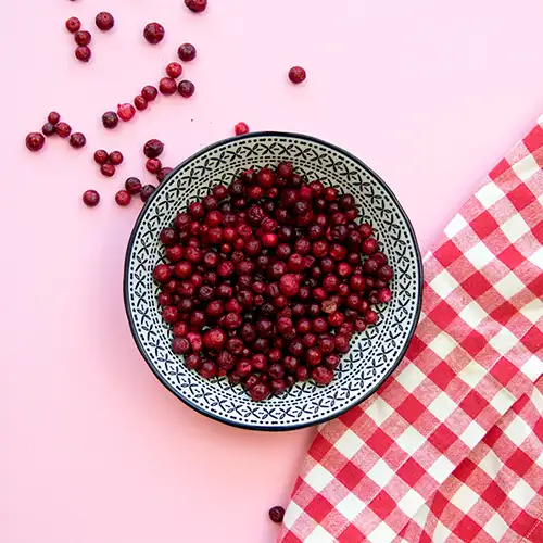 Preiselbeeren-wiki