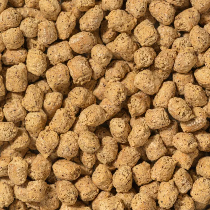 High Protein Ackerbohnen Crispies - Scharf – Bild 5