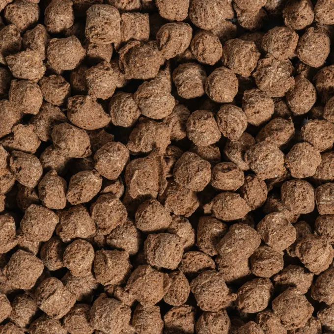 High Protein Ackerbohnen Crispies - Kakao – Bild 5
