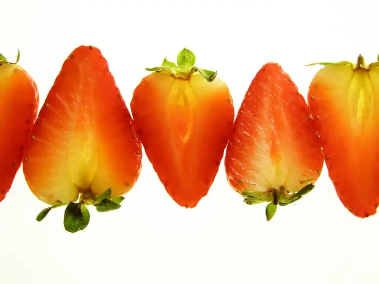 Halbierte Erdbeeren in Reihe
