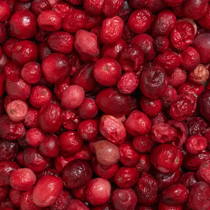 Ein Bild zeigt eine Makroaufnahme der gefriergetrockneten Cranberrys von Nutripur