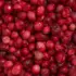 Ein Bild zeigt eine Makroaufnahme der gefriergetrockneten Cranberrys von Nutripur