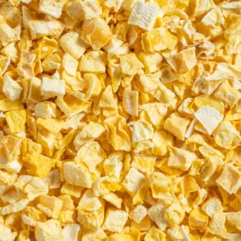 Ein Bild zeigt eine Makroaufnahme der gefriergetrockneten Mango von Nutripur