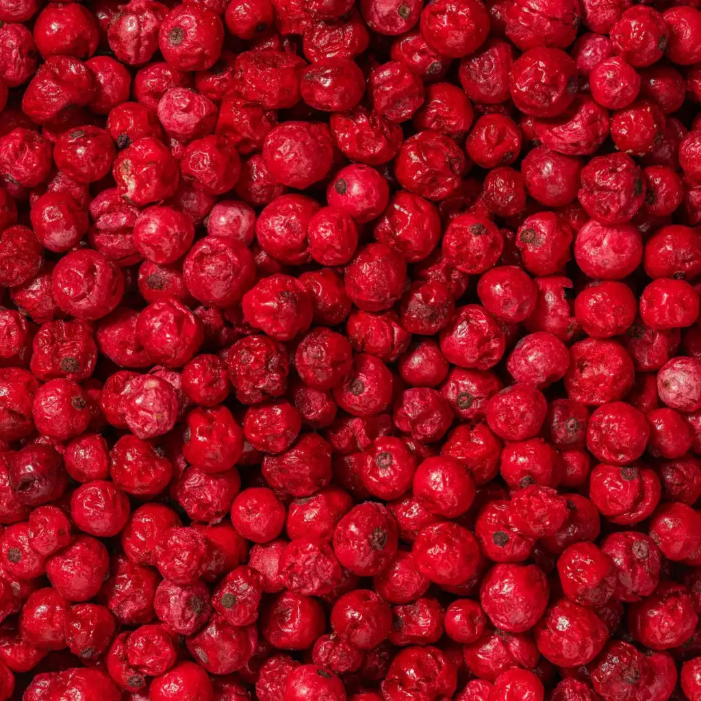 Ein Bild zeigt eine Makroaufnahme der gefriergetrockneten roten Johannisbeeren von Nutripur