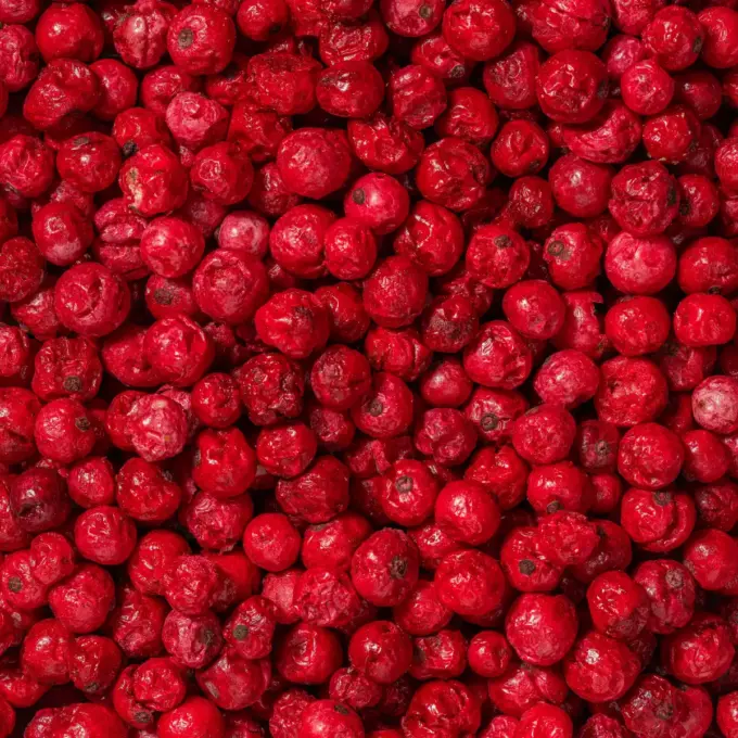 Ein Bild zeigt eine Makroaufnahme der gefriergetrockneten roten Johannisbeeren von Nutripur