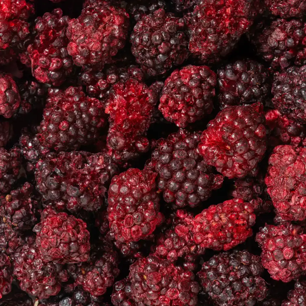 Ein Bild zeigt eine Makroaufnahme der gefriergetrockneten Brombeeren von Nutripur