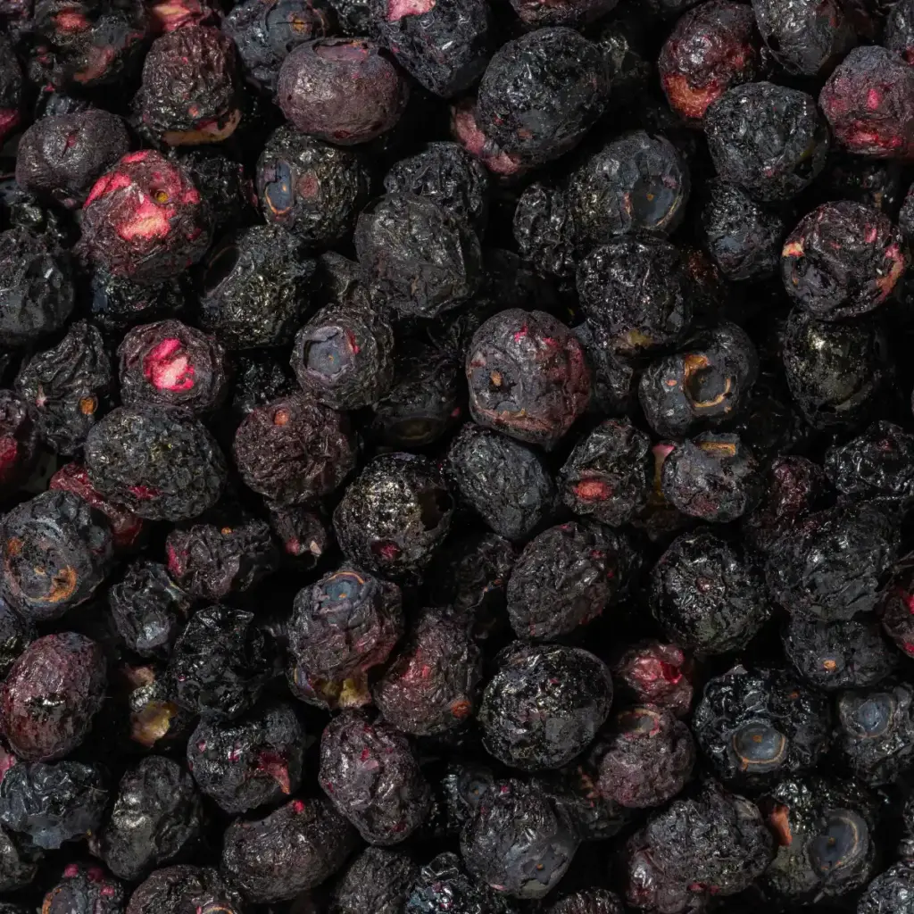 Ein Bild zeigt eine Makroaufnahme der gefriergetrockneten Heidelbeeren von Nutripur