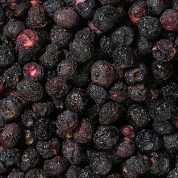 Ein Bild zeigt eine Makroaufnahme der gefriergetrockneten Heidelbeeren von Nutripur