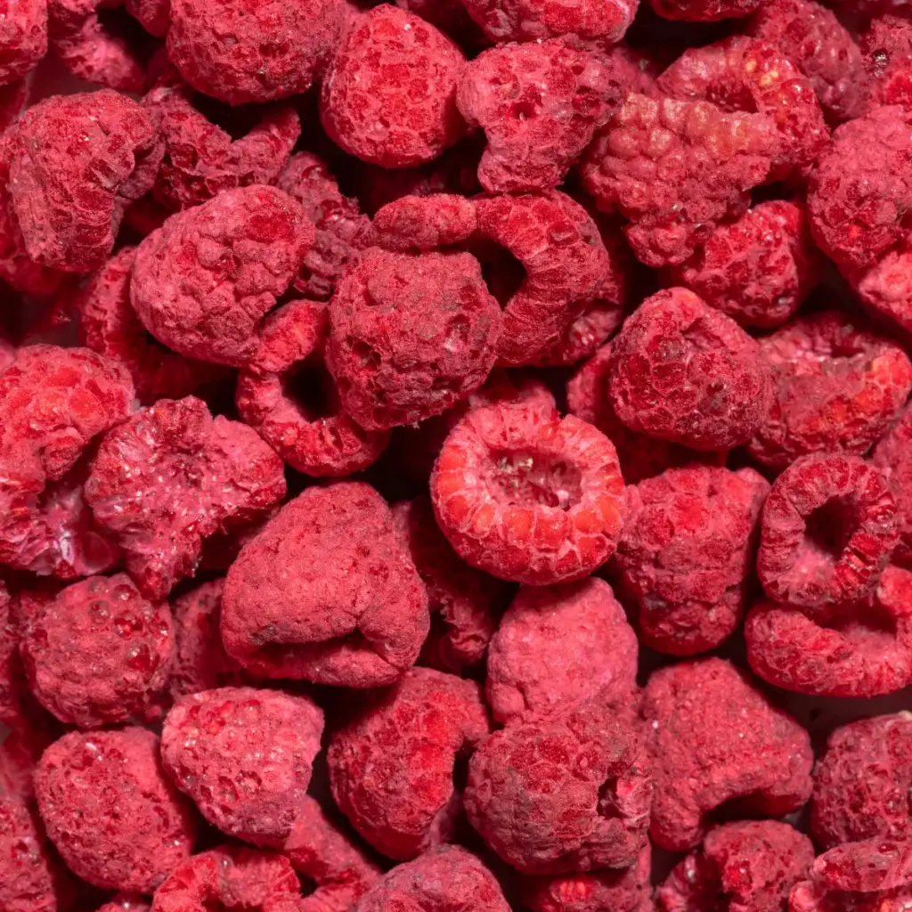 Ein Bild zeigt eine Makroaufnahme der gefriergetrockneten Himbeeren von Nutripur