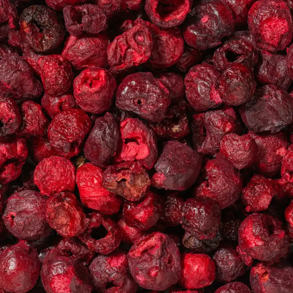 Ein Bild zeigt eine Makroaufnahme der gefriergetrockneten Sauerkirschen von Nutripur
