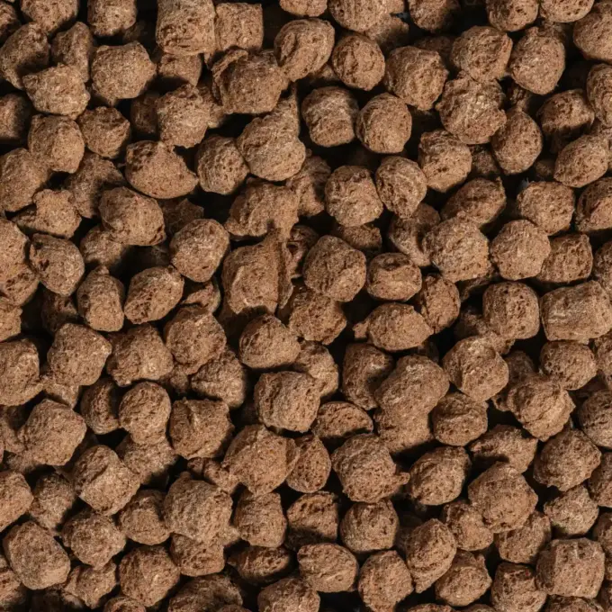 Ein Bild zeigt eine Makroaufnahme der Ackerbohnen Crispies Kakao von Nutripur