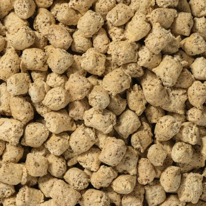 Ein Bild zeigt eine Makroaufnahme der Ackerbohnen Crispies von Nutripur