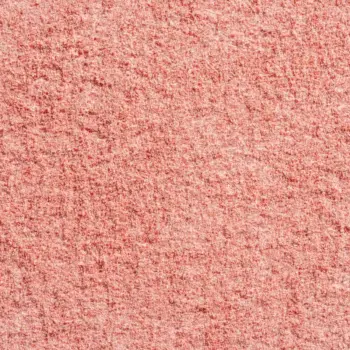 Ein Bild zeigt eine Makroaufnahme des SuperClear Proteinpulvers Red Berry von NutriPur