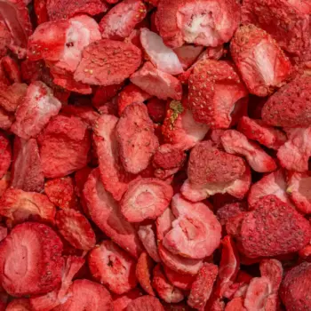 Makroaufnahme der gefriergetrockneten Bio-Erdbeeren von NutriPur