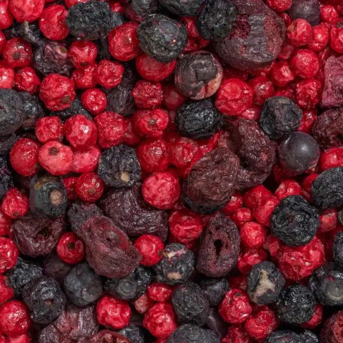Ein Bild zeigt eine Makroaufnahme des gefriergetrockneten Bio-Fruchtmix Herbe Liebe von NutriPur
