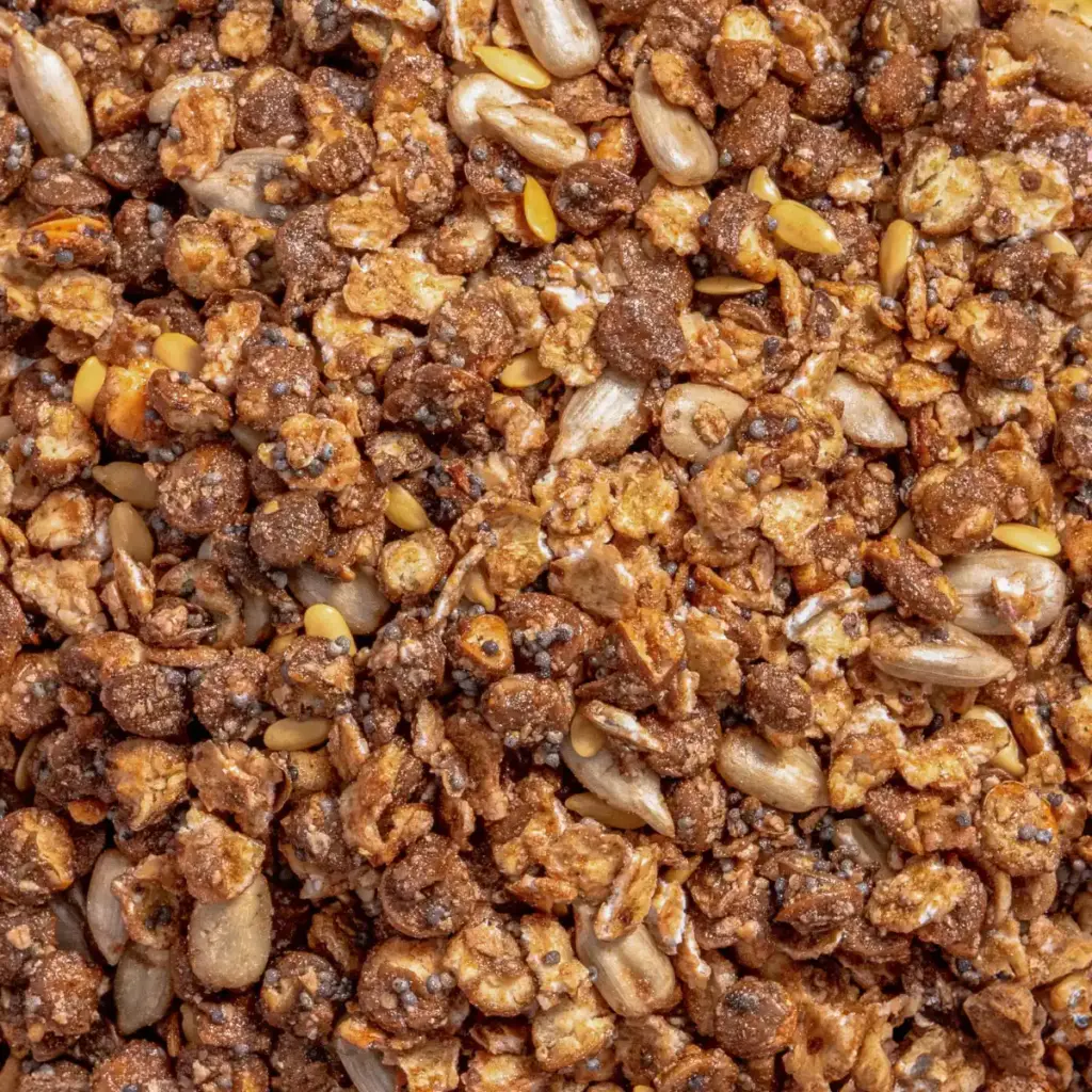 Makroaufnahme des nährstoffoptimierten Granolas