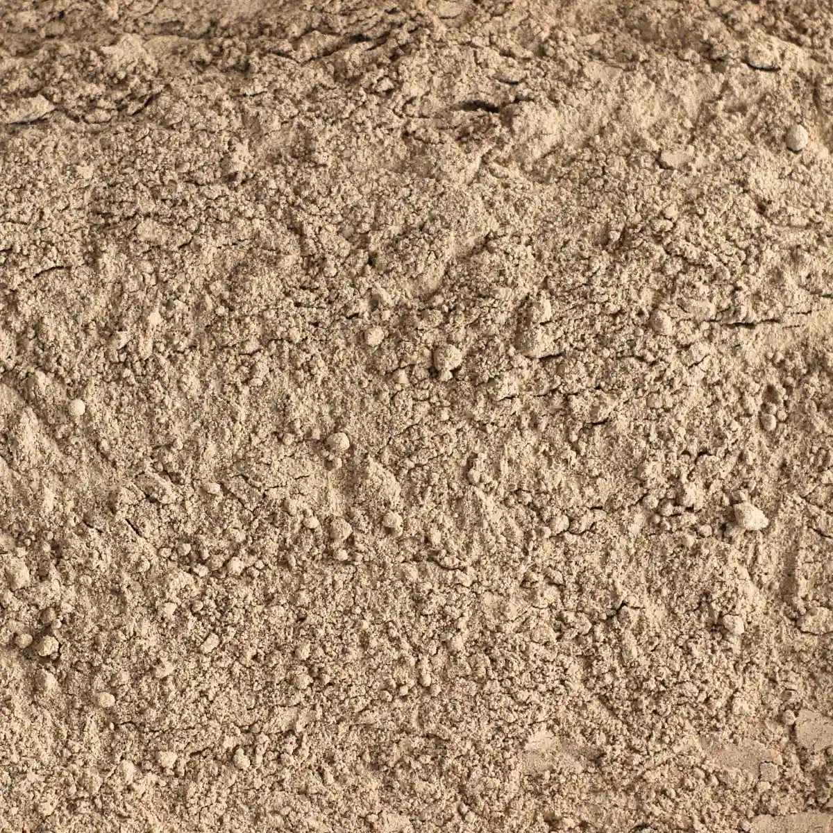 Ein Bild zeigt eine Makroaufnahme des SuperSpice Bio-Camucamupulvers