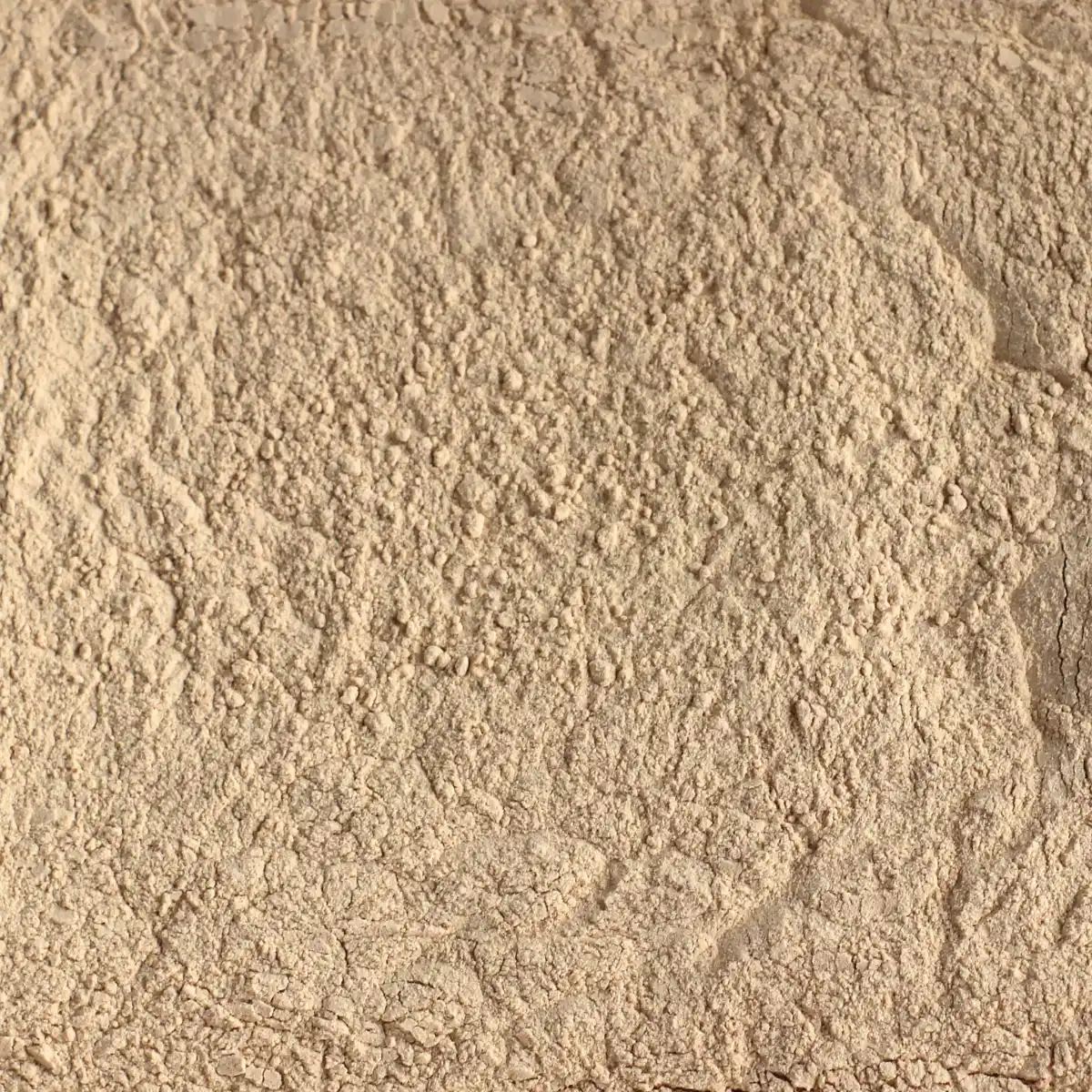 Ein Bild zeigt eine Makroaufnahme des SuperPowder Bio-Lucumapulvers